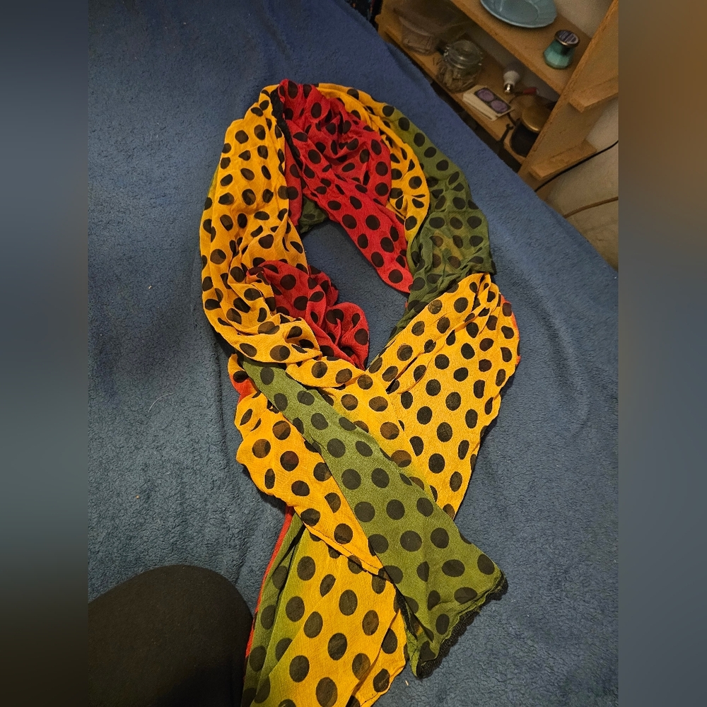 Polka Dot Multicolor Scarf